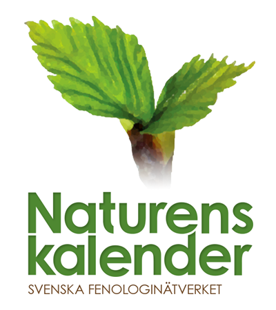 Illustration: Naturens kalender