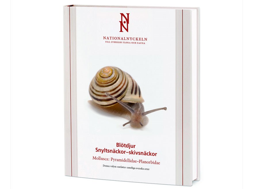 Omslag till en bok om snäckor. Bild.