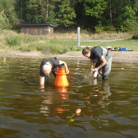 Vattenprovtagning. Foto: Patrik Bohman, SLU.