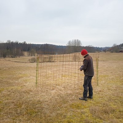 Forskare arbetar i fält. foto