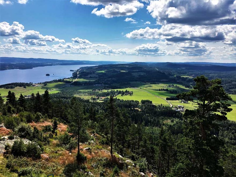 Vy från Tossebergsklätten. Foto.
