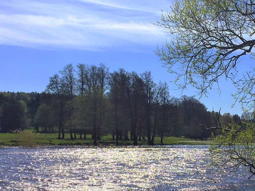 River in spring landscape. Photo.