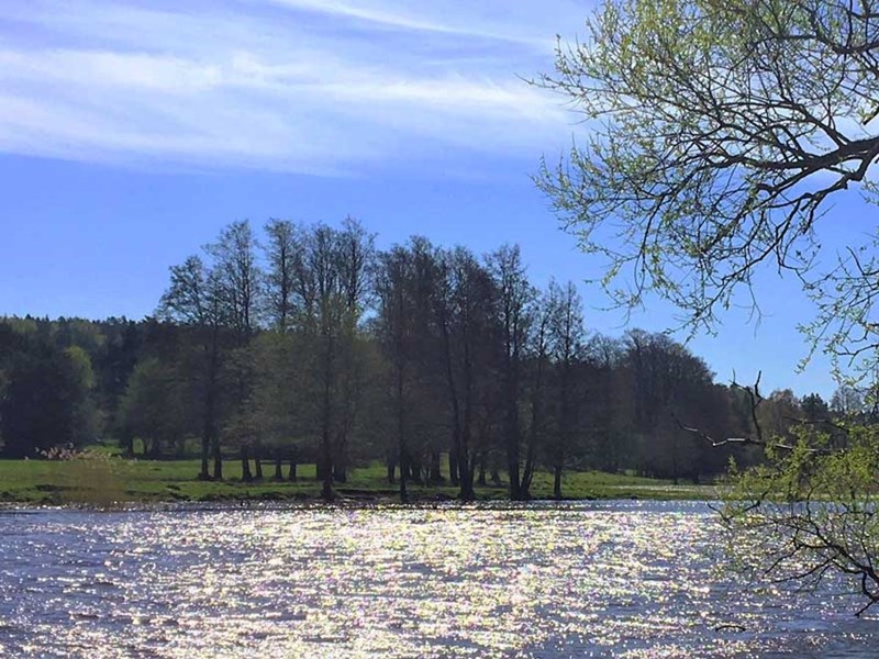 River in spring landscape. Photo.