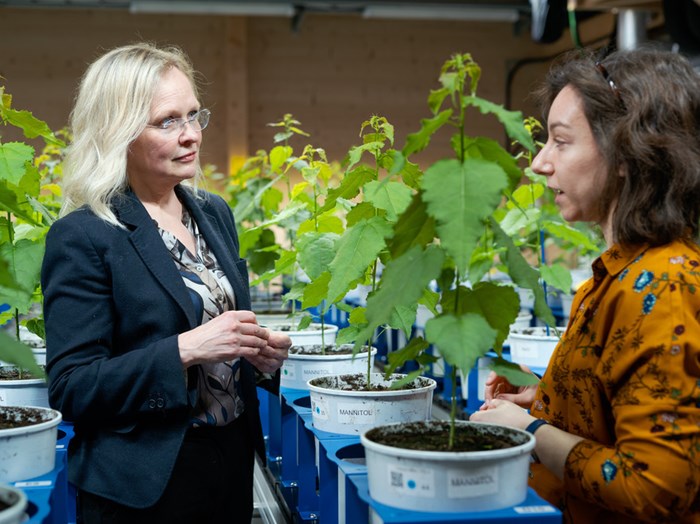 Bild av Hannele Tuominen i samtal med en kvinna.