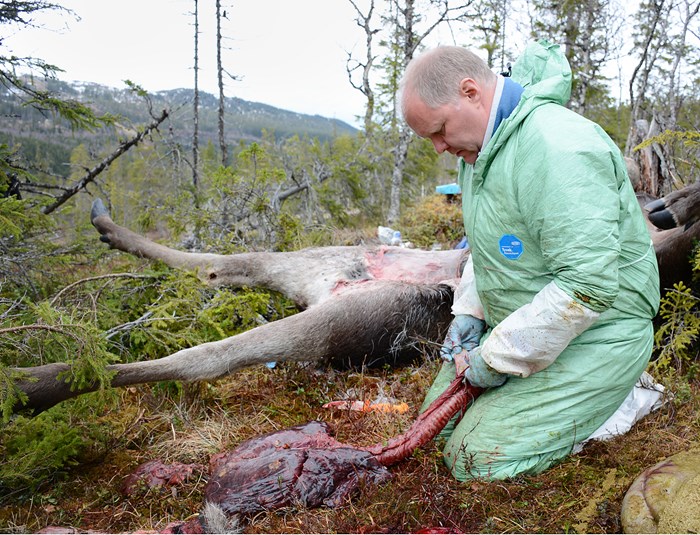 Bild av Bjørnar Ytrehus ute i naturen.