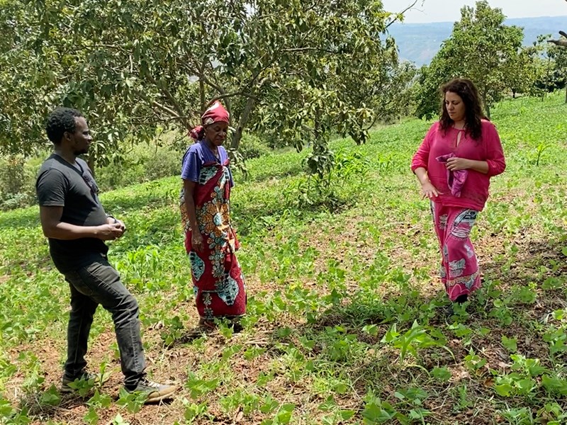 Flora Hajdu, en tolk och en kvinna i fält i nordvästra Tanzania. 