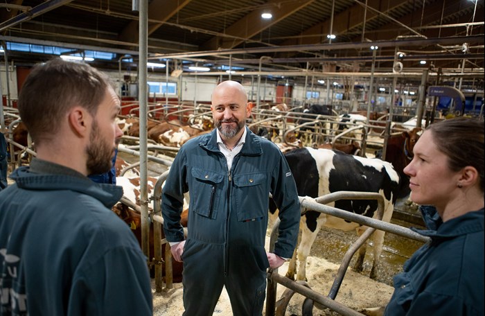 Picture of Nils Fall and his research group in the free-stall of SLU Lövsta. 