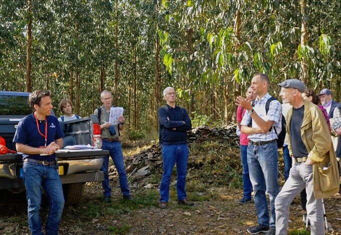 Forskargrupp i eukalyptusplantage i Vale do Sousa i Portugal