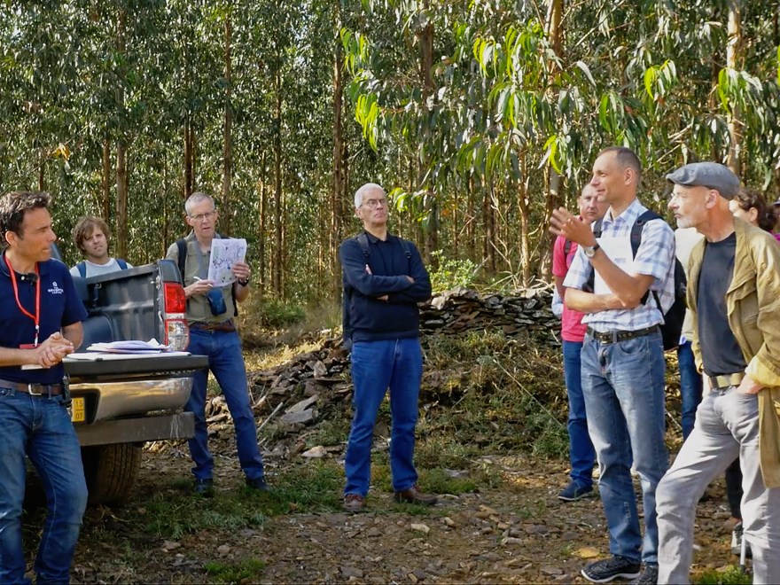 Vilis Brukas med kollegor vid en fältexkursion i  en eukalyptusplantage i Portugal.