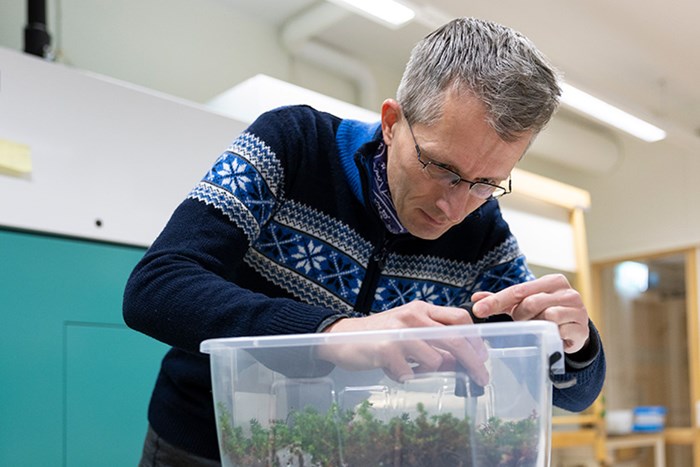 Paul Kardol standing in a laboratory looking in a box filled with moss and soil samples.