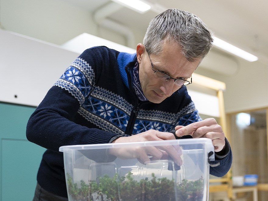 Paul Kardol standing in a laboratory looking in a box filled with moss and soil samples.