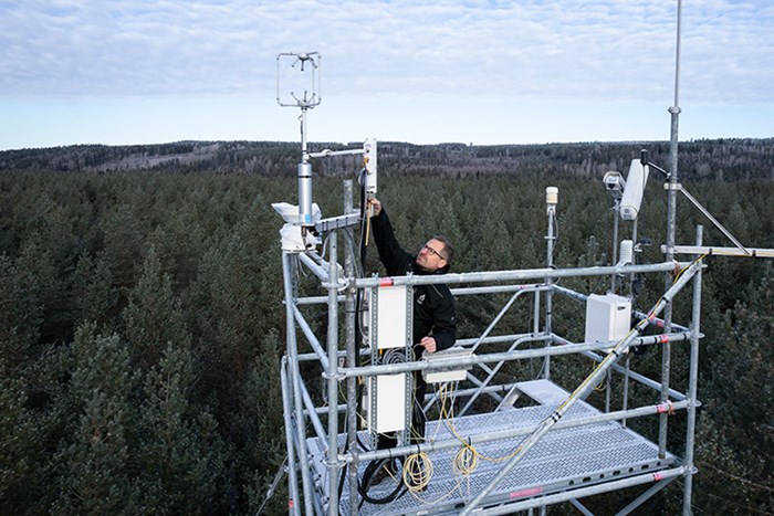 Matthias Peichl står på en plattform högt ovanför trädtopparna och justerar teknisk utrustning.