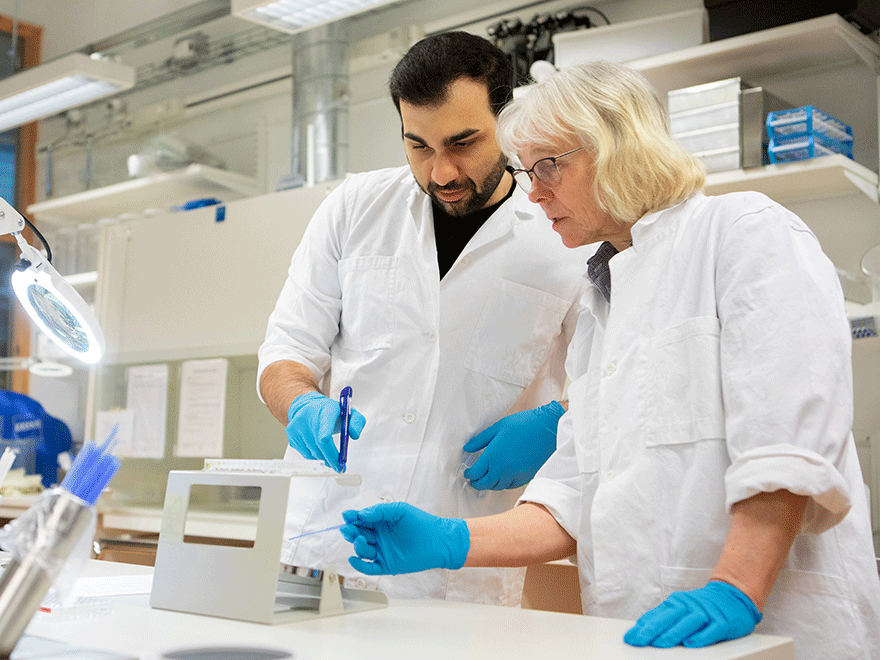 Two persons in white lab coats examine something in a laboratory.