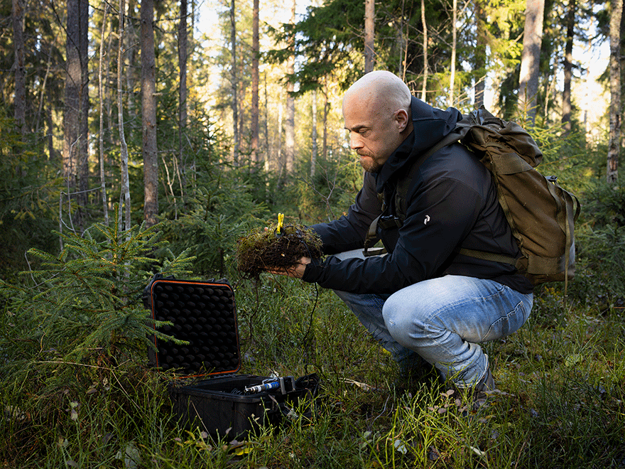 An outdoorsy person squatting in the forest mounting technical equipment in a piece of moss.