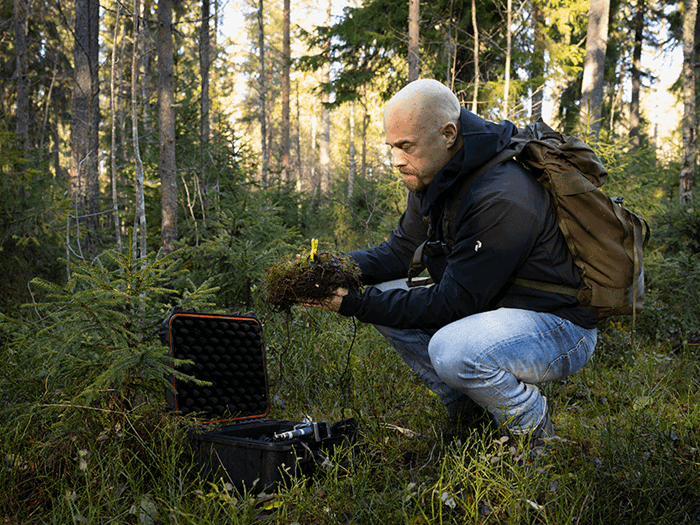 En friluftsklädd person sitter på huk i skogen och monterar teknisk utrustning i en klump mossa.
