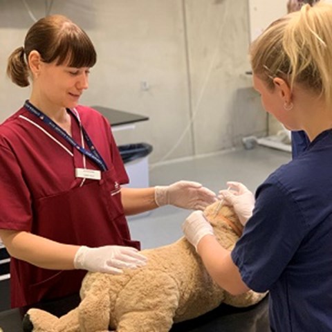 Lecturer Sanna Gille during a practical exercise with a student