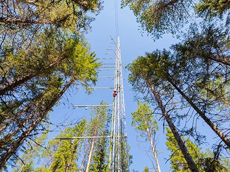 ICOS-masten vid Svartbäcken. Foto.