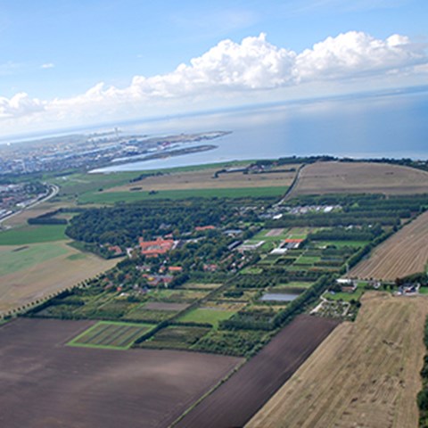 Flygbild över Alnarp.