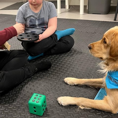 En golden retriever ligger på golvet och tittar på två barn som sitter på golvet