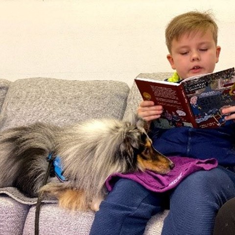 pojke sitter i soffa och läser en bok, bredvid ligger en hund med sitt huvud i pojkens knä