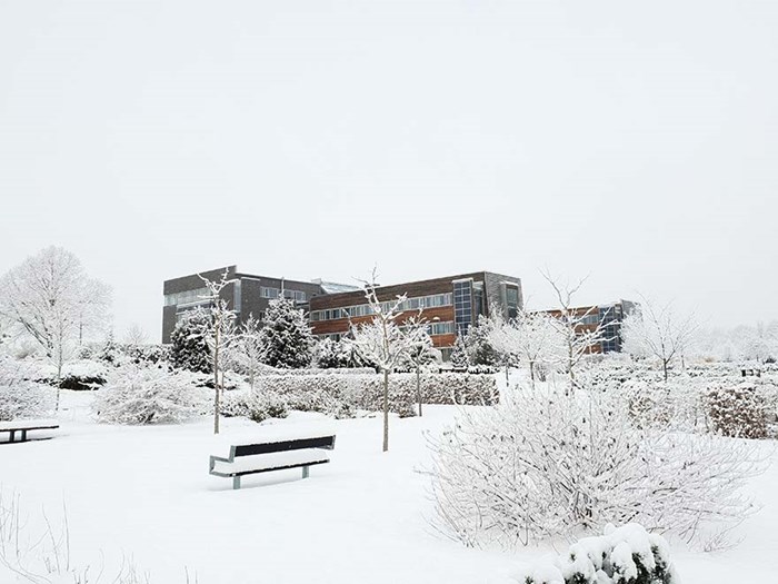 One of the quite new buildings at Ultuna, photo.