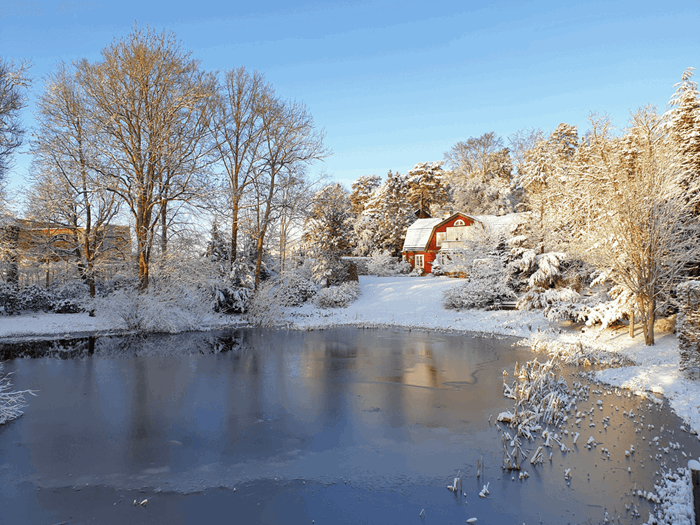 Parken i december