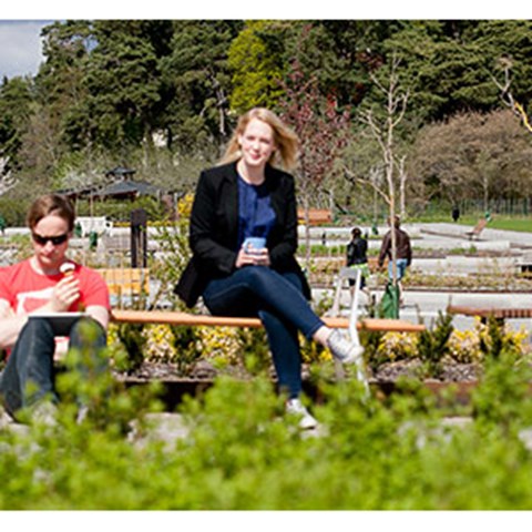 Two students drink coffee in the Knowledge Garden. Photo.