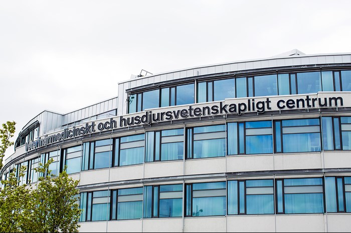 The outside of the VHC building at Ultuna. Photo.