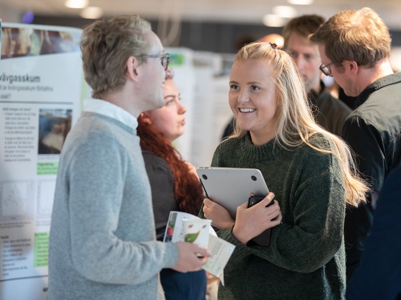 Människor som minglar vid posterutställning. Foto.