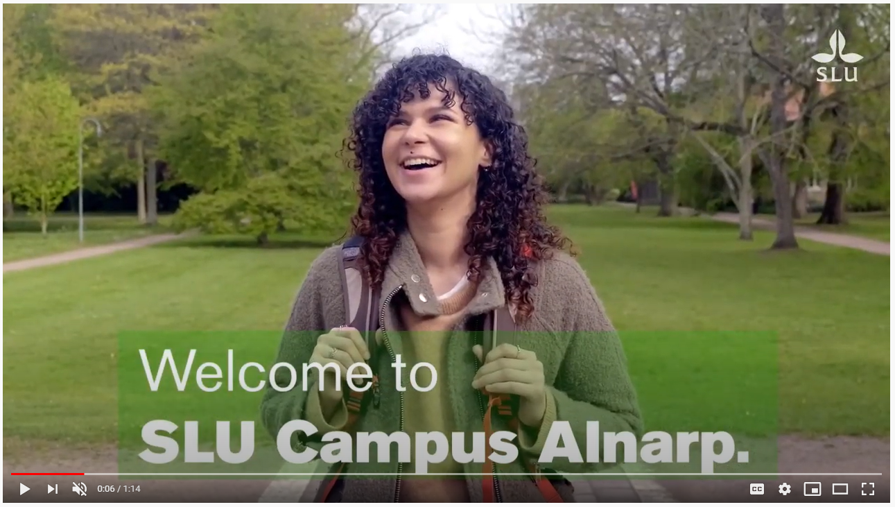 Link to SLU Ccampus films.Image.