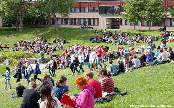 Studenter sitter på gräset på campus. Foto: Jenny Svennås-Gillner, SLU