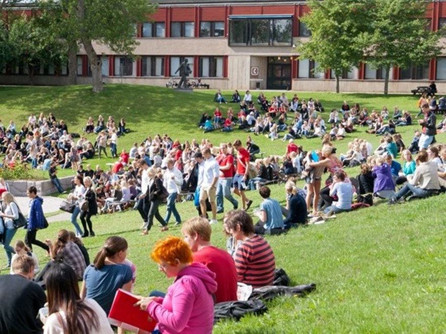 Studenter sitter på gräsmattan på campus. Foto: Jenny Svennås-Gillner, SLU