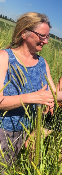 Anna Westerbergh studies the axils of Hordeum bulbosum. Photo Per-Olof Lundquist.