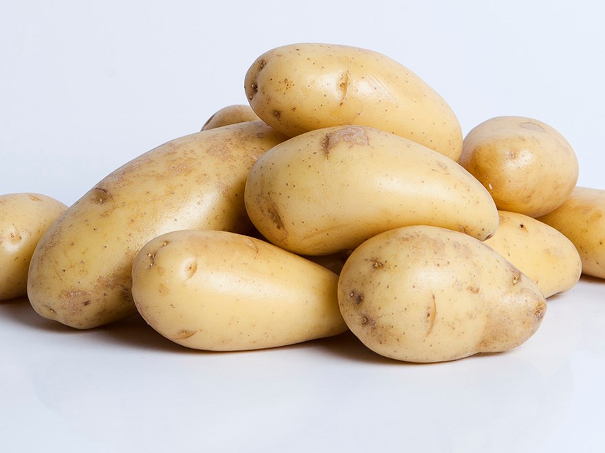 Potatis i en hög. Foto.