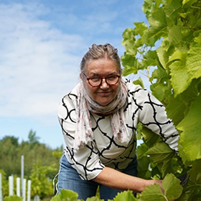 Forskaren Lotta Nordmark i vingården. Foto.