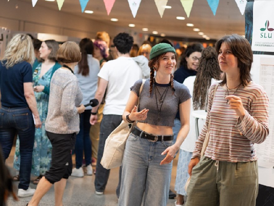 Students celebrationg Thesis Day