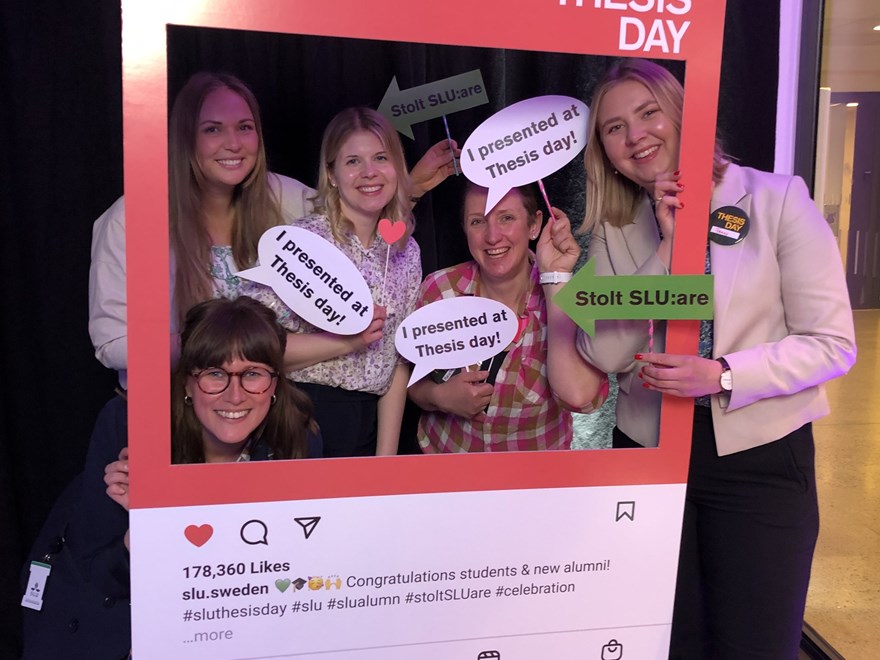 Students celebrating Thesis Day