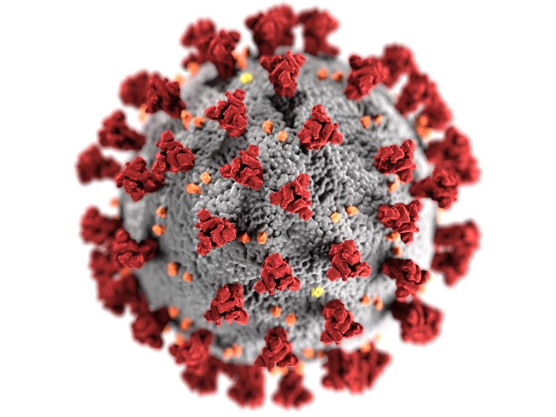 Illustratuion av coronaviruset