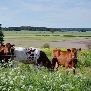 Agroecology