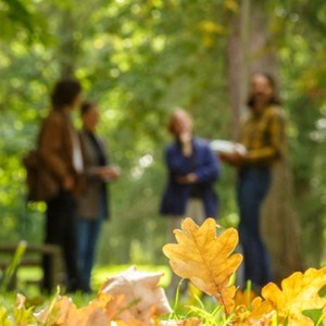 Outdoor Environments for Health and Well-being