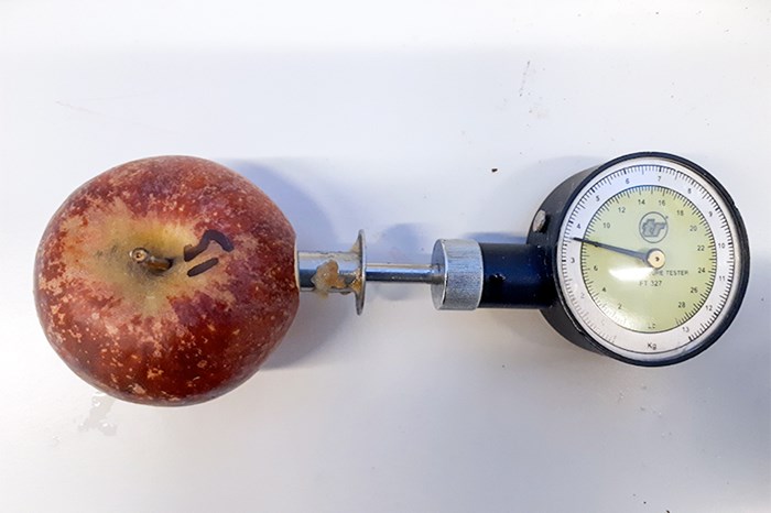Ett rött äpple med ett mätinstrument instucket. Foto.
