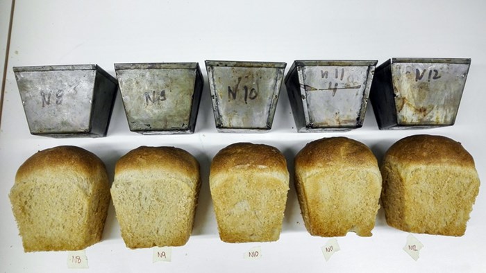 Fem uppradade brödlimpor ligger bredvid metallformar med märkningar på vit bakgrund. Foto.