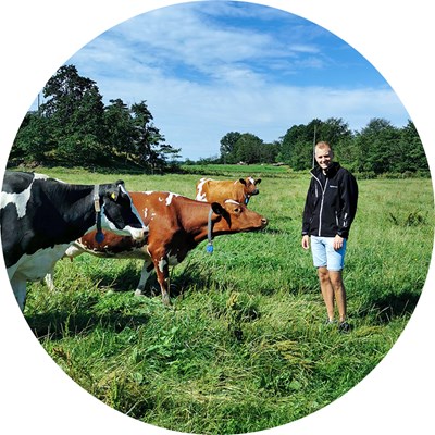 A man is standing on green grass with cows. Photo.