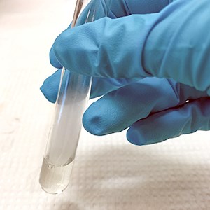 A hand with a blue glove holds a test tube with transparent liquid. Photo. 