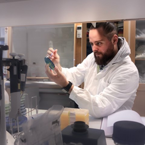 En man pipetterar i ett lab. Foto.