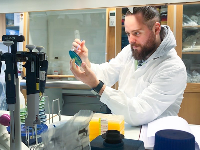 En man pipetterar i ett lab. Foto.