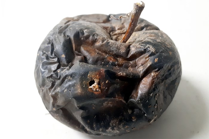 Ett ruttet äpple. Foto.