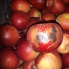 Äpplen med fula bruna ytor på. Foto.