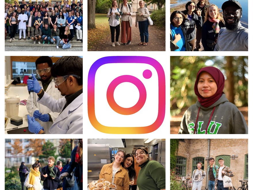 Ett kollage av studenter med instagrams logotyp i mitten