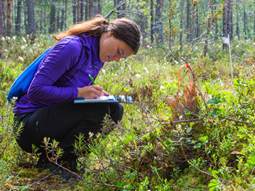 Bilden visar en student som sitter på huk i skogen och skriver på ett papper. 